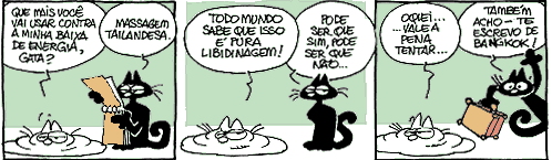Gata, tira de Laerte