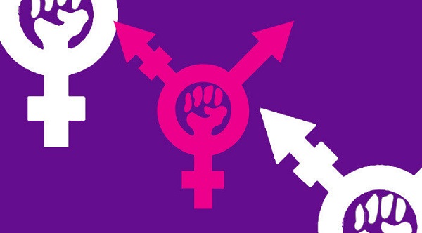 Símbolo do Transfeminismo.