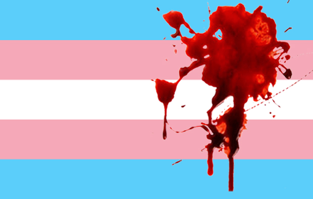 Bandeira do orgulho trans. 
